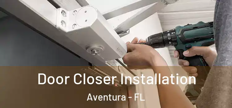 Door Closer Installation Aventura - FL
