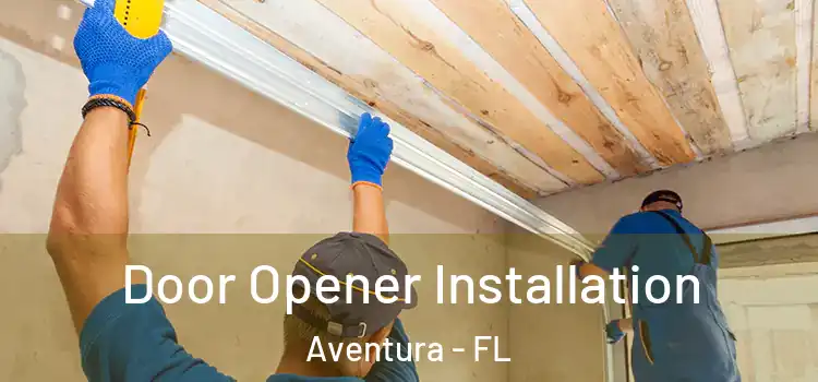  Door Opener Installation Aventura - FL