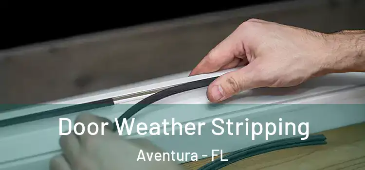 Door Weather Stripping Aventura - FL