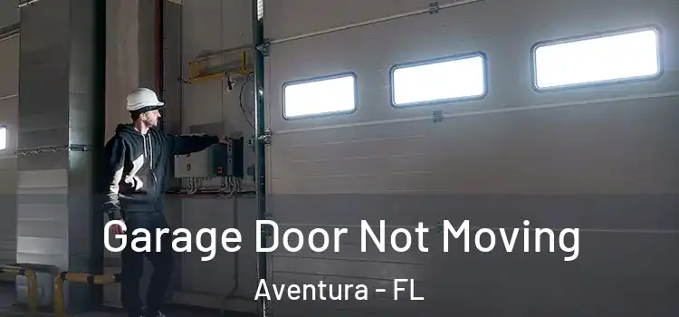  Garage Door Not Moving Aventura - FL
