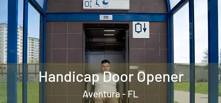 Handicap Door Opener Aventura - FL