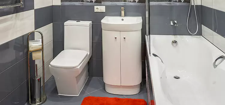 Hansgrohe Shaving Mirror Aventura