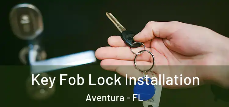  Key Fob Lock Installation Aventura - FL